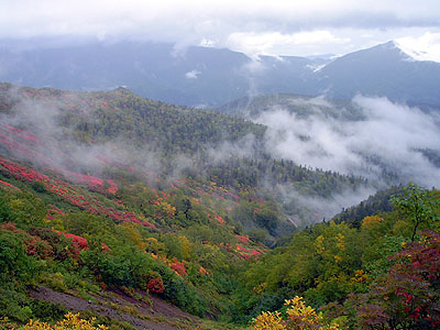 ιա